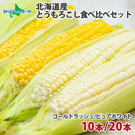 北海道産 トウモロコシ 食べ比べセット（ゴールドラッシュ／ピュアホワイト） 10本/20本 黄色 白い とうもろこし 北海道 とうもろこし 甘い ホワイトコーン 生食 スイートコーン とうきび トウキビ ホワイトとうもろこし バーベキュー 送料無料◆出荷予定：7月下旬-9月上旬