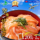 空飛ぶサーモン （200g/400g/600g/800g/1kg）青空市場 サーモン MOWI ノルウェー産 泉佐野市 アトランティックサーモ…