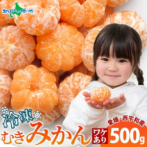 Ⓚ݂ 500g A 甍 Q FaY Ɩp Ⓚ݂ Q Y Ⓚt[c Ⓚ~J fU[g V[xbg ʕ   ֗  lC X fU[g n 