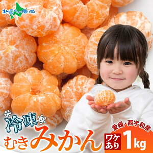 A 甍 Ⓚ݂ 1kg Q FaY Zbg e Ɩp Ⓚ݂ Q Y Ⓚt[c Ⓚ~J fU[g V[xbg ʕ   ֗  lC X fU