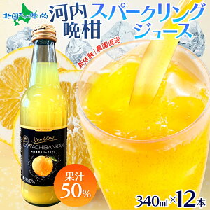 _ ͓ӊ Xp[NOW[X 340ml×6{/12{ O[vt[c TC_[ ӊ ʏ`50 ͓ӊW[X Y_ W[X Y qǂ߂ Ε W[X Mtg Zbg 