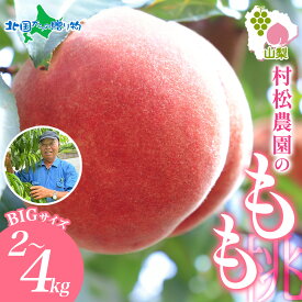 山梨県 笛吹市産 桃 2kg(4〜6玉)/4kg(8〜12玉) もも モモ 白桃 旬 産地直送 大玉 完熟 果物 お中元 フルーツ 敬老の日 山梨 新鮮 人気 美味しい 贈答 ギフト 夏ギフト 産直 村松農園 笛吹市 送料無料 ◆出荷予定：7月中旬-9月上旬