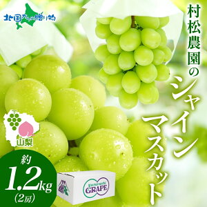 R JsY VC}XJbg 1.2kg 2[ Ԃǂ uhE  { Yn Ȃ 炲 n ʕ RJs VC}XJbg R   c hV̓ Mtg 