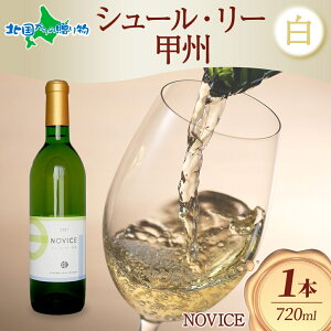 白ワイン NOVICEノヴィス シュール・リー 甲州 720ml×1本 フルボトル 辛口 日川中央葡萄酒 山梨県 笛吹市 ワイン 白 御歳暮 お歳暮 ワイン ギフト 誕生日 プレゼント クリスマス ワイン