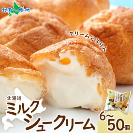 【マラソン10%OFFクーポン！】シュークリーム 北海道 とろとろシュー (ミルク)（6個/10個/20個/30個/40個/50個）シュークリームアイス シューアイス 業務用 大容量 北海道 スイーツ お取り寄せスイーツ 冷凍 夏休み おやつ 夏ギフト スイーツ ギフト 差し入れ 大量 個包装