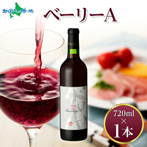 x[[A 720ml f  C   ʎ 蕨  a Ε Ε Mtg C  v[g ӎ  ƈ Lv BBQ o[xL[ p[eB[  k