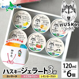 ハスキージェラート ジェラート 3種 計6個 カッサータ トリプルベリー レモンヨーグルト アイス ギフト箱 熨斗 送料無料 人気専門店 デザート ご当地 フレーバー アイス ジェラート バレンタイン ギフト チョコ以外 バレンタイン アイス クリーム ロストアンドファウンド