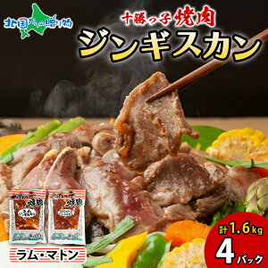 \q ē WMXJ 400g Hה 2 v4pbN Zbg r   }g [X r  WMXJZbg `̃^ Ⓚ  ȒP Z BBQ qr Ă o[xL