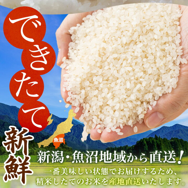 楽天市場】【令和7年産】新潟 魚沼産 コシヒカリ 特A （精米5kg/無洗米 
