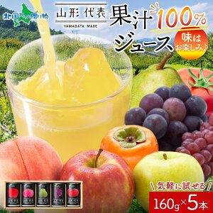 R`\ ʃW[X  5ʃZbg 160g  W[X ʏ`100    EtX  Ԃǂ   Ƃ܂ miV `  uhE t[c W[X Xg[g W