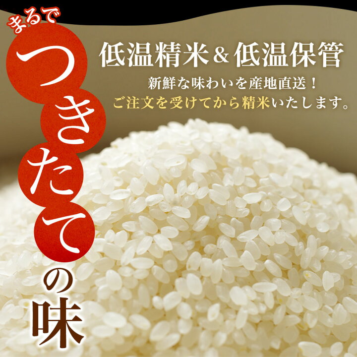 楽天市場】令和7年産 北海道産 ゆめぴりか（5kg／10kg）令和7年 お米