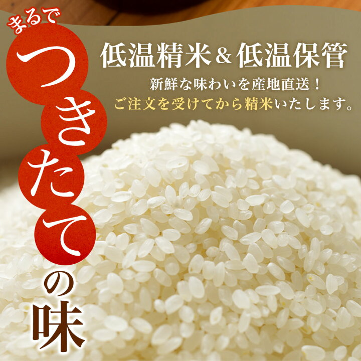 楽天市場】令和7年産 北海道産 ななつぼし （5kg／10kg）令和7年 お米 