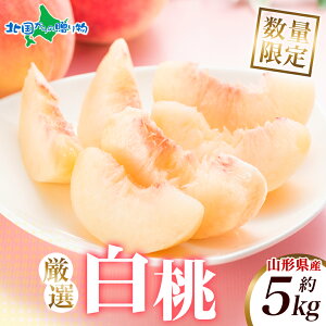 R`Y  3kg/5kg 100Zbg    { Yn  n ʕ  hV̓ t[c Mtg hV̓  R` VN   hV̓ v[g t[c M