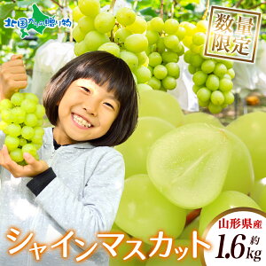 R`Y VC}XJbg ƒp 1.6kg 2-3[ 100Zbg }XJbg uhE { Yn n ʕ t[c R` VN lC   Mtg   c c a v[