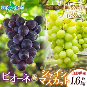 R`Y VC}XJbg  sI[l Zbg 1.6kg 2-3[ 100Zbg }XJbg uhE { Yn n ʕ t[c R` VN lC   Mtg a v[g t