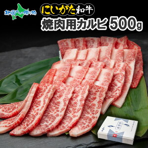 a VY ɂa ēp Jr 500g ؂  Y  Mtg  V  ~ A4 A5 Ԑg ō 싛 Ⓚ Jr ē a Ă  hV̓Mtg BBQ 