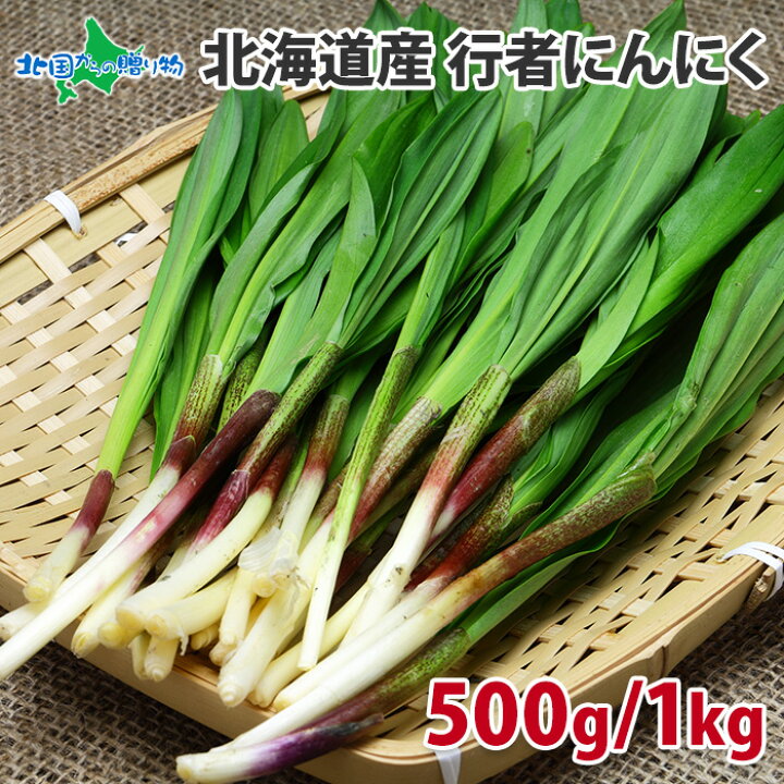 楽天市場】北海道産 行者にんにく 生冷蔵（500g4980円・1kg6580円 
