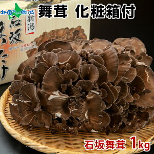  ϔti΍║ 1kg/ 700gji ܂ p }C^P i   n 񂹃O Mtg ̂ Ε Ε Mtg Hו Mtg a v[