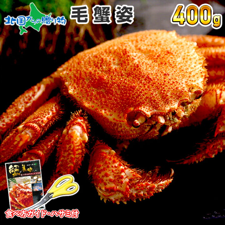 6528円 最新デザインの カニ ボイル かに 蟹 花咲ガニ 姿 800g 1尾 約2-3人前 ハサミ 北国からの贈り物 6528円 最新デザインの カニ ボイル かに 蟹 花咲ガニ 姿 800g 1尾 約2-3人前 ハサミ 北国からの贈り物