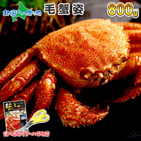 【父の日ギフト】カニ 毛ガニ 姿 （400g/500g/600g/800g/1kg） 毛蟹 毛がに かに 蟹 ギフト カニ 姿 蟹姿 蟹味噌 かにみそ カニ味噌 鍋 蟹 毛ガニ 北海道 カニ ボイル かに ギフト 蟹 父の日 カニ ギフト 父の日 食べ物 ギフト 毛ガニ 父の日 海鮮 お取り寄せグルメ 加藤水産