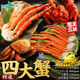 年末早期受付 特撰 四大蟹セット 毛ガニ ズワイガニ タラバガニ 花咲蟹 カニ福袋 毛がに 毛蟹 ずわいがに たらば蟹 タラバ かに セット 花咲ガニ タラバ カニ 食べ比べ 御歳暮 冬ギフト お歳暮 ギフト カニ セット 年末 年始 お取り寄せ カニ 蟹 海鮮セット 大容量 年末配送