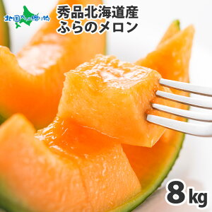 xǖ상 Gi iv4kgO 2-3/v8kgO 4-6ʁj kCY ӂ̃ ԓ kC t[c Mtg  kC  Mtg hV̓Mtg t[c hV̓ v[g 