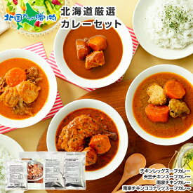 北海道 スープカレー・カレー 4種セット 4食/10食/20食 (4種：北国まるごとチキンレッグスープカレー/南家チキン/南家チキンココナッツ/天竺チキン) 業務用 ご当地カレー 詰め合わせ レトルトカレー スープカレー 北海道 レトルト食品 常温保存 備蓄 食料 防災 送料無料