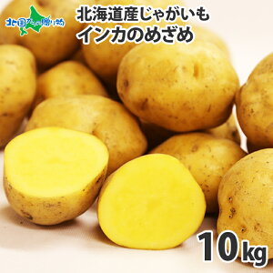kC WKC CĴ߂ S-LTCYi3kgO/5kgO/10kgOj  Ⴊ kCY Ⴊ kC Yn  Y  CJ̖ڊo WKC kC 