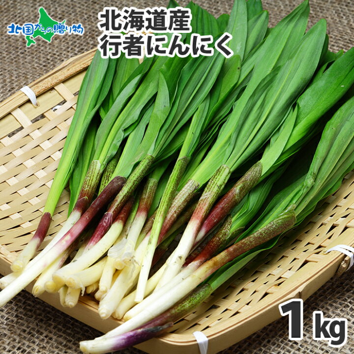 楽天市場 北海道産 行者にんにく アイヌネギ 1kg 生冷蔵 北海道 行者ニンニク ギョウジャニンニク ギョウジャにんにく お取り寄せ グルメ 産直 産地直送 野菜 焼肉 バーベキュー 食材 北国からの贈り物 送料無料 出荷予定 4月下旬 5月上旬 北国からの贈り物