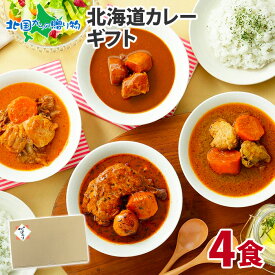 【母の日ギフト】北海道スープカレー4食セット ギフト箱 (北国チキンレッグ/南家/天竺/ココナッツ) ご当地カレー ギフト レトルトカレー 詰め合わせ スープカレー 北海道 スープカレー 食べ比べ セット レトルト チキンカレー 内祝い 父の日 母の日 食べ物 ギフト カレー