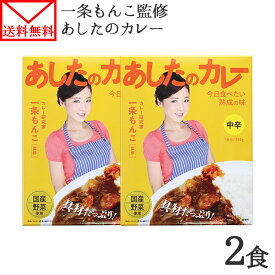 カレー あしたのカレー 2食 セット 一条もんこ 監修 カレー レトルト レトルトカレー レトルト食品 お取り寄せグルメ 1000円ポッキリ 送料無料 千円ぽっきり 買い回り 1000円 買いまわり ポイント消化 送料無 1,000円 メール便 送料無料 北国からの贈り物