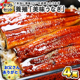 【父の日ギフト】ウナギの蒲焼き （2尾/3尾/4尾/5尾）セット 120g～130g前後 父の日 うなぎ ギフト ウナギ 鰻 海鮮 うなぎ ギフト 誕生日プレゼント お取り寄せグルメ 父の日ギフト うなぎ 父の日 食べ物 ギフト うなぎ 蒲焼き うなぎ 蒲焼 鰻 快気祝い 送料無料