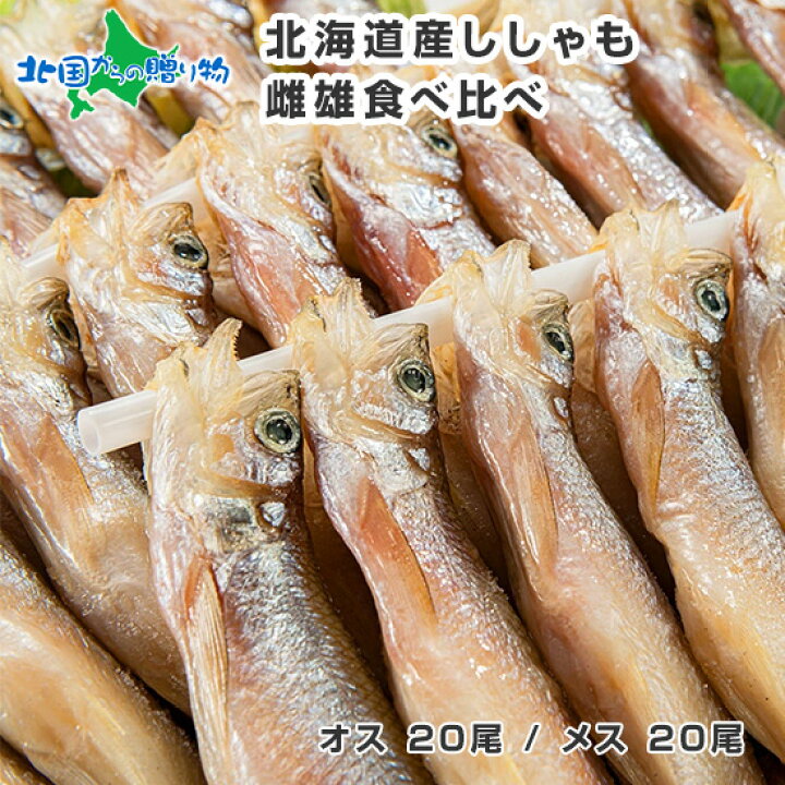楽天市場 北海道 本ししゃも 雌雄 食べ比べ セット 40尾 北海道産 シシャモ 食材 セット グルメ 北海道 ししゃも オス メス ギフト 魚 海鮮 ギフト おつまみ ギフト セット 家飲み 食べ物 ギフト 誕生日 プレゼント お取り寄せ グルメ Gift 送料無料