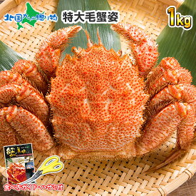 【ギフト】カニ 毛ガニ 姿 （400g/500g/600g/800g/1kg） 毛蟹 毛がに かに 蟹 ギフト カニ 姿 蟹姿 蟹味噌 かにみそ カニ味噌 鍋 蟹 毛ガニ 北海道 カニ ボイル かに ギフト 蟹 カニ ギフト 父の日 母の日 食べ物 ギフト 毛ガニ 母の日 海鮮 お取り寄せグルメ 加藤水産