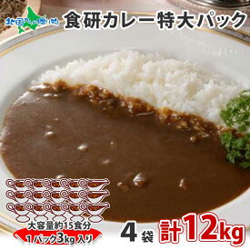 日本食研 カレー レトルト 食研カレー 3kg 4袋 計12kg 業務用 特大 セット レトルトカレー 中辛 ビーフカレー レトルト食品 セット 詰め合わせ お取り寄せ カレー レトルト 業務用 カレー レトルト まとめ買い レトルト食品 常温保存 常備食 備蓄 食料 防災 retort curry