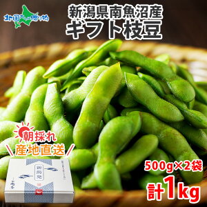 VY 싛 } 500g×2 1kg Yn Y } ̂ VN ܂  G_}  ܂ } Hi  ₳ Y ܂ ̂ }  ăMtg c Hו Mtg