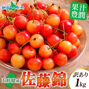 �y�}���\�� 5���I�t�N�[�|���z�z���I�z�󂠂� �R�`���Y �������� ������ �i600g/1kg�j �T�N�����{ 600�O���� 1�L�� ������ �ʕ� �t���[�c �{�̉ʕ� ������ �R�` �t���[�c ���P���� �v���[