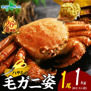 Nt уKj p 400g 500g 600g 800g 1kg InT~t ъI т {Cς  I Mtg Jj p Ip IX ɂ݂ JjX  kC Jj Mtg N Nn  Jj 