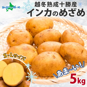 z~n \Y CĴ߂ 5kg@z~ Ⴊ S|L CJ̖ڊo  WKC |eg   C  O { Nx Mtg Yn Y VN Hi  i