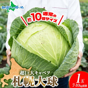 �y�}���\�����Ԓ��|�C���g10�{�z�D�y�勅 1�� 7-10kg�O�� �k�C���Y ������L���x�c/ ���� �Â� ���� �L���x�c ��� �傫�� �k�C�� �Y�n���� ��� �Y�� ����ׂ� �����������o�ח\��F10�����{-11