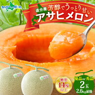 【楽天SS 20％オフクーポン配布中！】北海道追分産 アサヒメロン 計2.6kg前後（優品または秀品2玉）【6月…