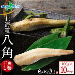 kCY p݊100g (4pbN/6pbN/10pbN) ͂ p nbJN kC  Mtg Zbg  Ђ 񂹃O CN Ⓚ lߍ킹 av[g Ε Ε 