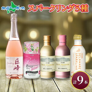 Xp[NOC ݔ r1{+48{ f  ʎ  Ε Ε Mtg 蕨 p a v[g ӎ  ƈ Lv BBQ o[xL[ p[eB[ 