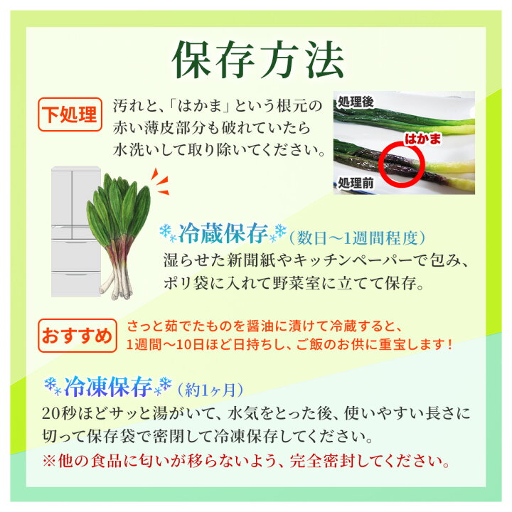楽天市場】北海道産 行者にんにく 生冷蔵 予約（500g4980円・1kg6580円 行者ニンニクアイヌネギ予約ページ