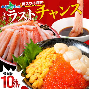 yX[p[SALE 10%OFFIzgYC_|[V500g z^e300g CN100g `Y_O100g Zbg iΕ CNZbg I  Jj _ |[V gYCKj  ق  }X C