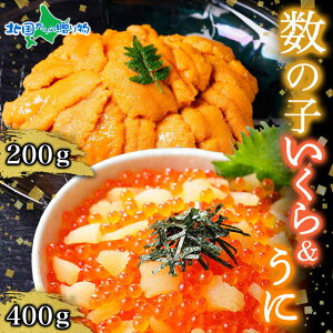 ̎q ݖЂ v400g  `Y v200g JYmR CN   ݖЂ Ej _O    Ⓚ  CN hV̓Mtg hV̓ CN 芪i ґ Mtg 