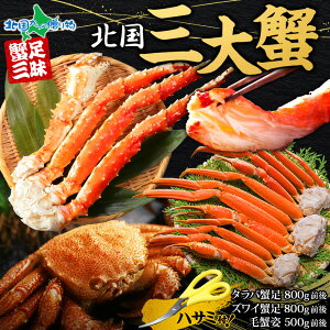 Nt Jj Hה kOIZbg ^oKj  YCKj  уKj p {Cς Jj ъI ^o YC Zbg I  Ε Ε Jj Mtg   蕨 