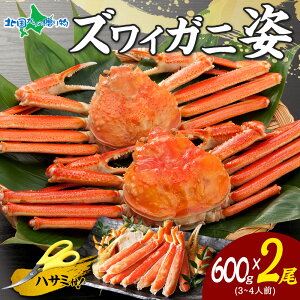 【ギフト】カニ ズワイガニ 姿 ボイル (600g×1/600gx2)かに ギフト お歳暮 カニ 姿 蟹 カニ 蟹姿 ズワイ蟹 ずわいがに ボイル ズワイガニ ずわい ボイル かに 鍋 蟹 ギフト プレゼント 御歳暮