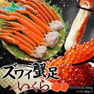 y}\10%OFFN[|IzYCKj800g ݖЂ80g×2 Zbg iI Jj  킢 YC 䥂ŊI Jj {C  CN ݖЂ VN Ⓚ Jj  hV̓ CN