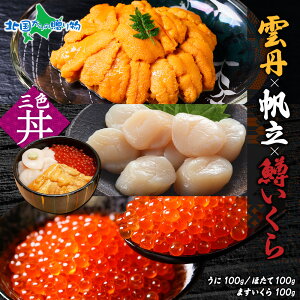  100g ݖЂ 100g z^e 100g Zbg Ej `Y Ⓚ _O  CN ܂ ق  hV̓ CNZbg hV̓ CN OF kCH kC hV̓ 